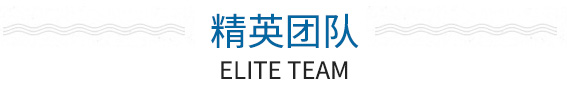 精英團隊
